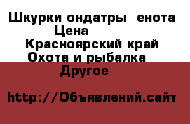 Шкурки ондатры, енота › Цена ­ 1 100 - Красноярский край Охота и рыбалка » Другое   